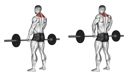 подъем штанги плечами