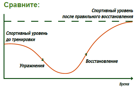 почему не растут мышцы после тренировок