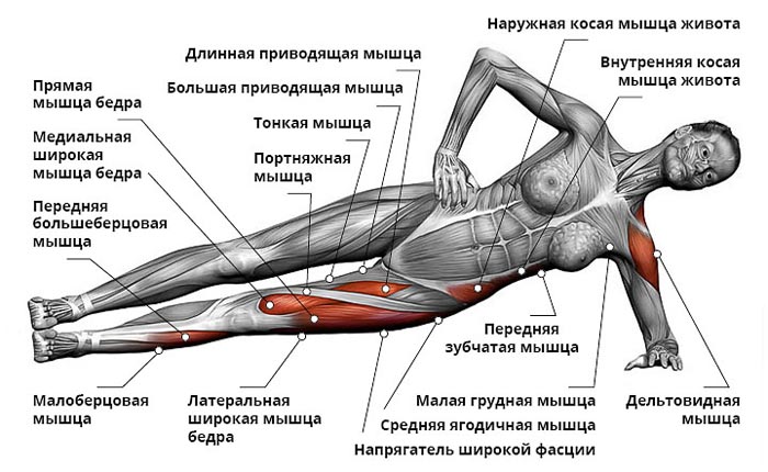 тренировка мышц кора упражнения
